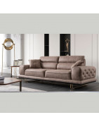 Tek koltuk & kanepe & berjer